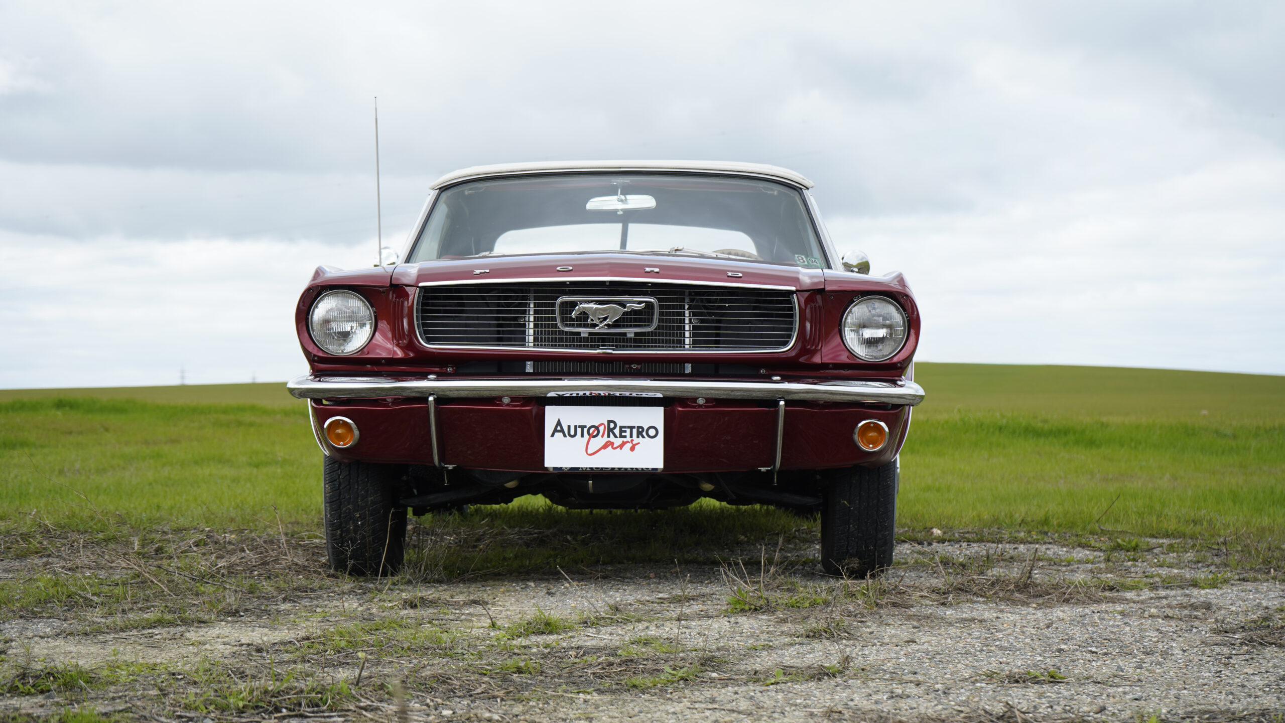 FORD MUSTANG CONVERTIBLE – 1966 — Exterior