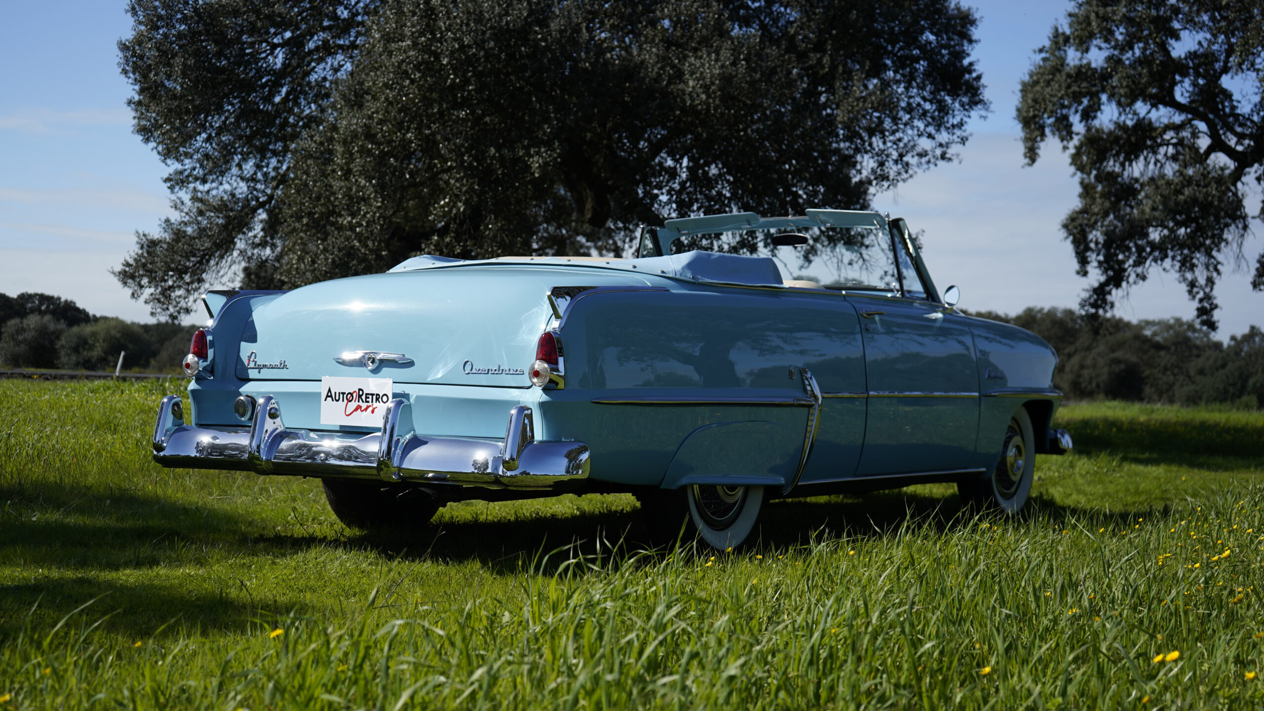PLYMOUTH BELVEDERE CONVERTIBLE – 1954 — Exterior